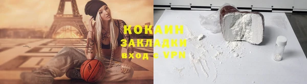 шишки Козловка