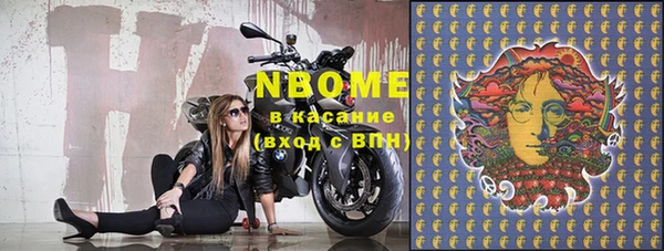 шишки Козловка