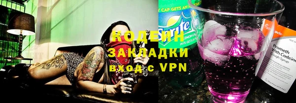 шишки Козловка