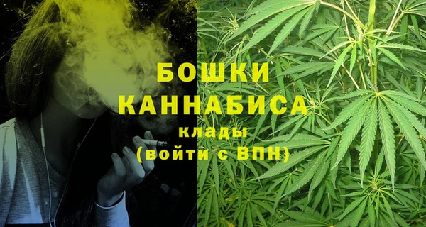 бошки Козельск