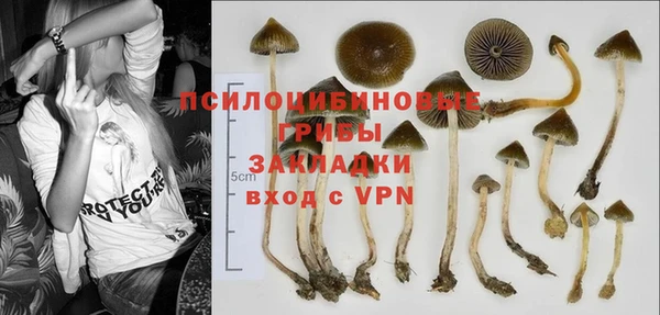 бошки Козельск