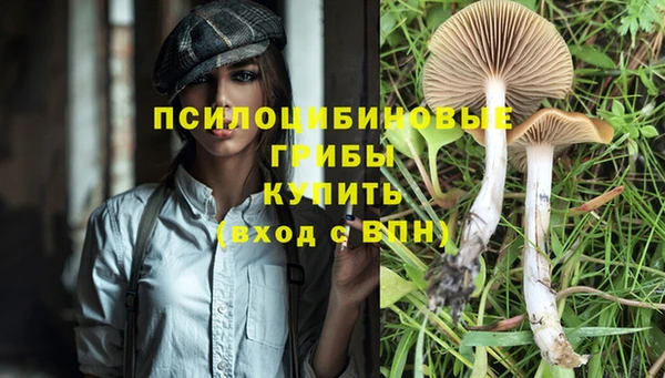 бошки Козельск