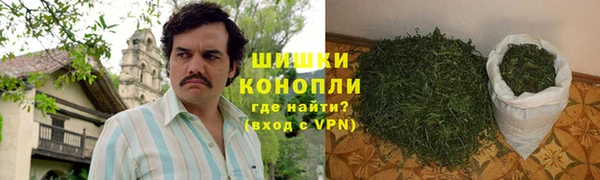 шишки Козловка